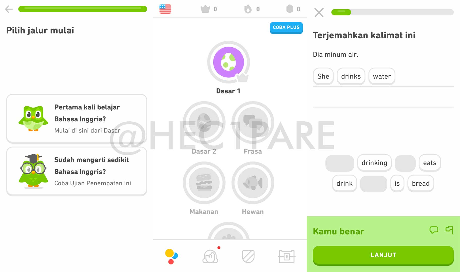 Aplikasi Belajar Bahasa Inggris Duolingo