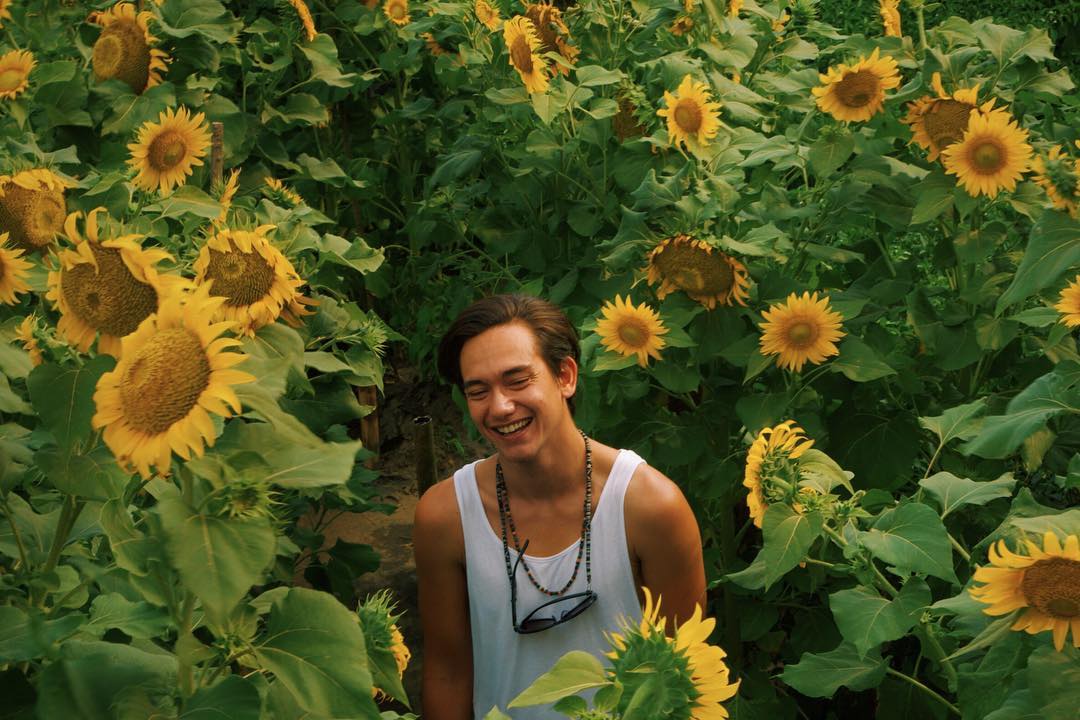 kebun-bunga-matahari